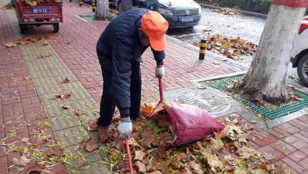 風急雨驟落葉多 周口環衛工人清掃忙