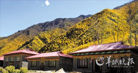 林芝地區的民居 覺果 攝